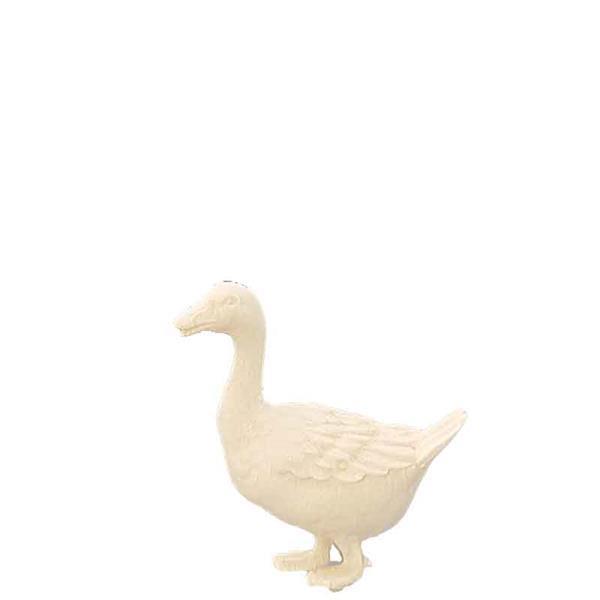 Gans nach vorne schauend