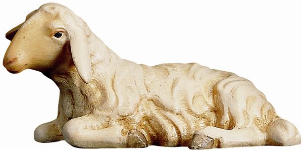 Schaf liegend Schaf liegend