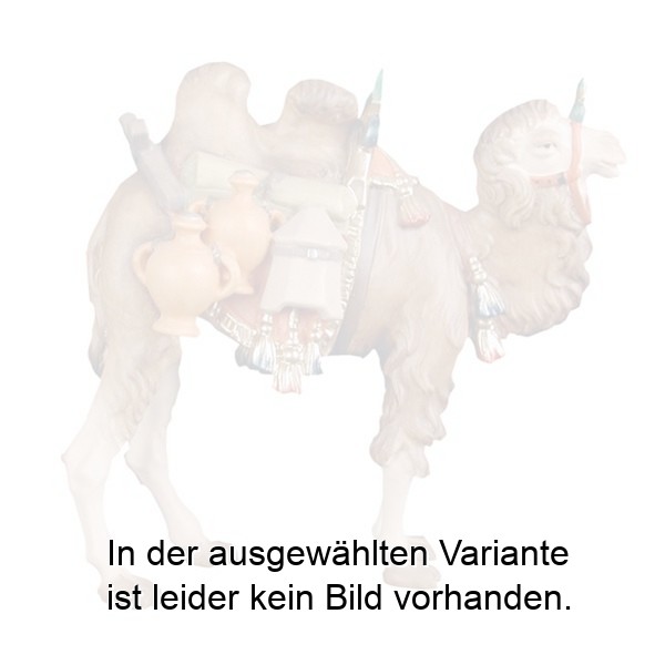Kamel mit Gepäck Kamel mit Gepäck