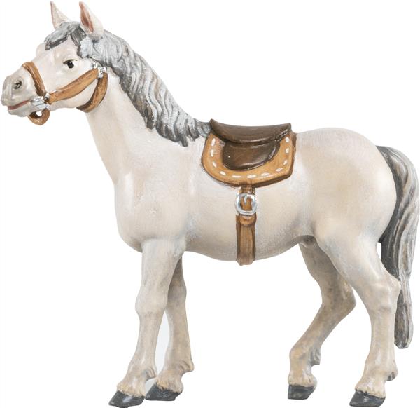 Pferd weiß Pferd weiß