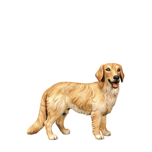 Golden Retriever Golden Retriever