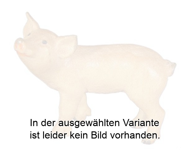 Ferkel Ferkel