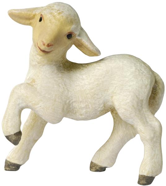 Lamm - Pfote hoch Lamm - Pfote hoch