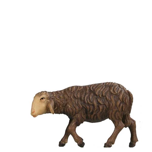 Schaf gehend SCHWARZ Schaf gehend SCHWARZ