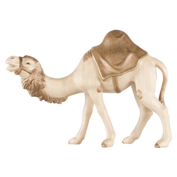 Kamel