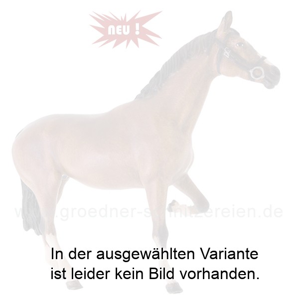 Pferd beim beschlagen Pferd beim beschlagen