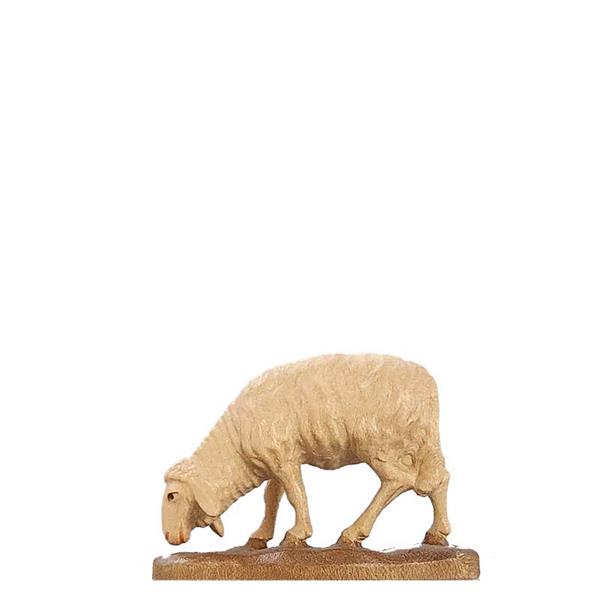 Schaf fressend Schaf fressend