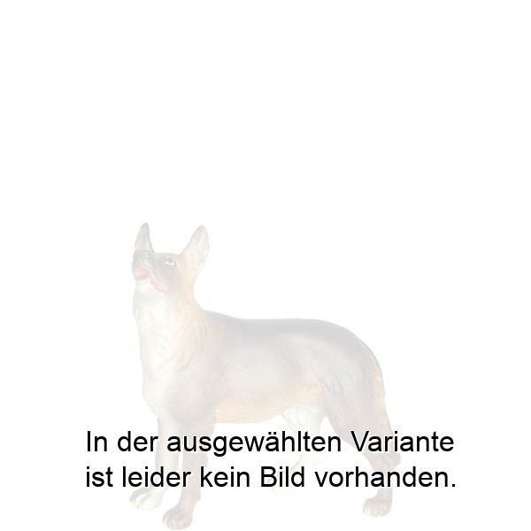 Schäferhund Schäferhund