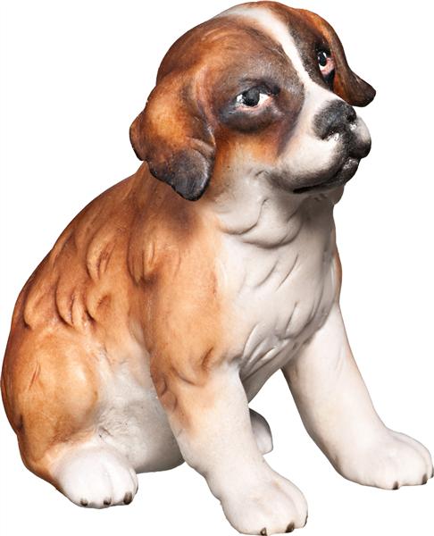 Bernhardiner Welpe sitzend