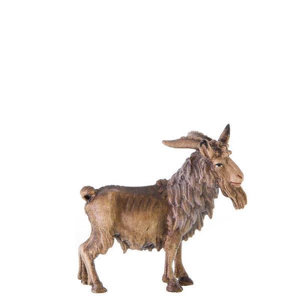 Ziegenbock Ziegenbock