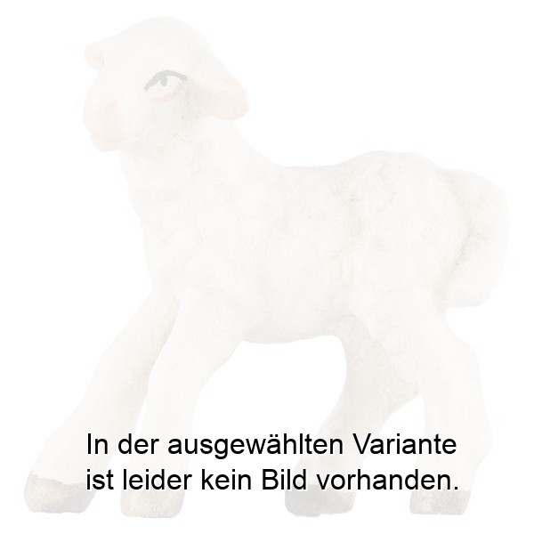 Lamm stehend linksschauend Lamm stehend linksschauend