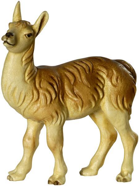 Lamafohlen Lamafohlen