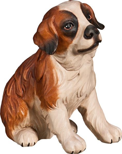 Bernhardiner Welpe sitzend Bernhardiner Welpe sitzend