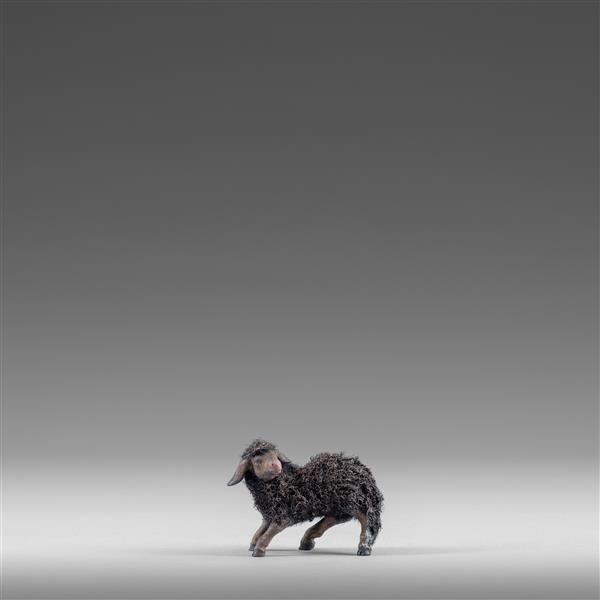 Lamm links mit Wolle schwarz Lamm links mit Wolle schwarz