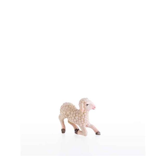 Kniendes Schaf