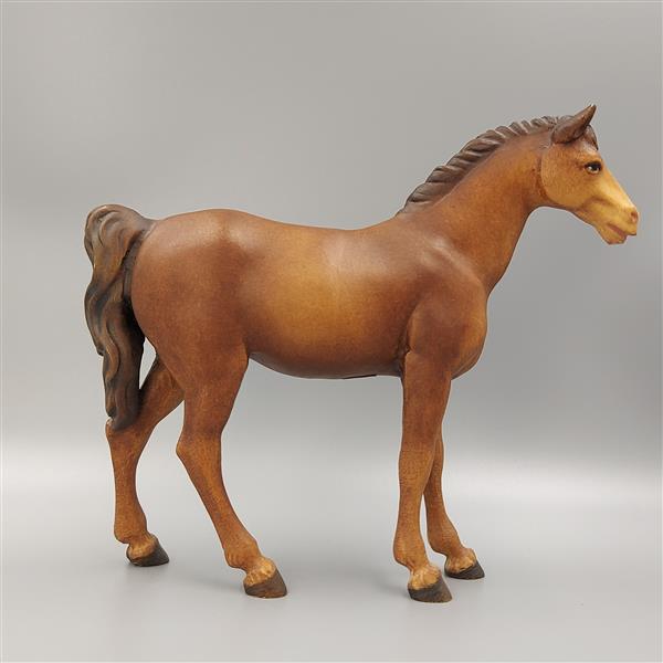 Pferd braun Pferd braun