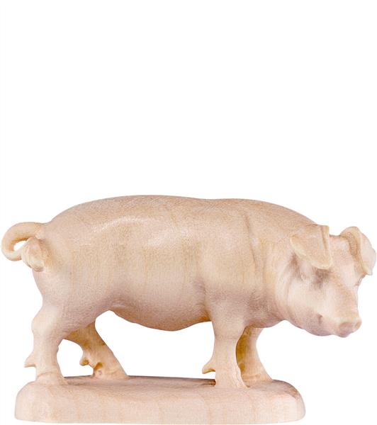 Schwein Schwein