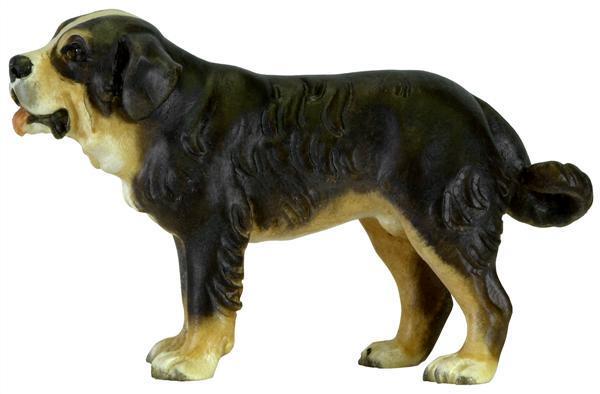 Berner Sennenhund