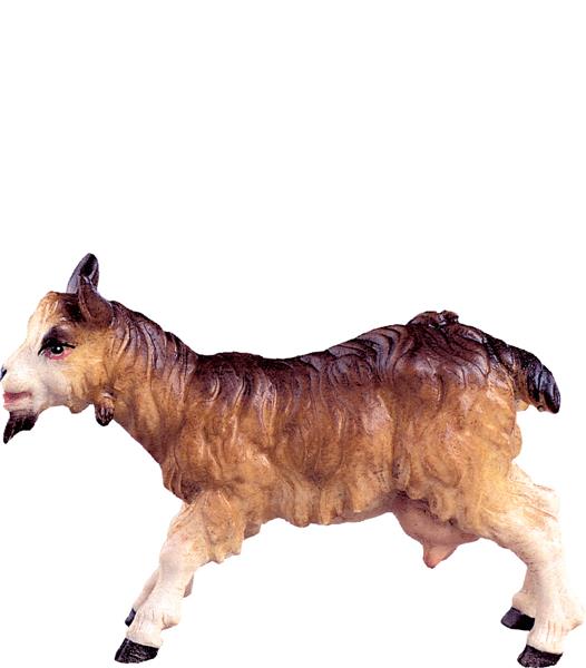 Ziege