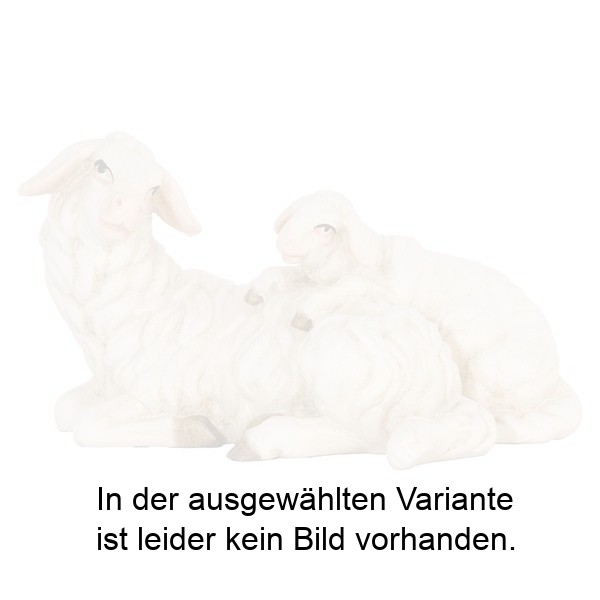 Schaf liegend mit Lamm