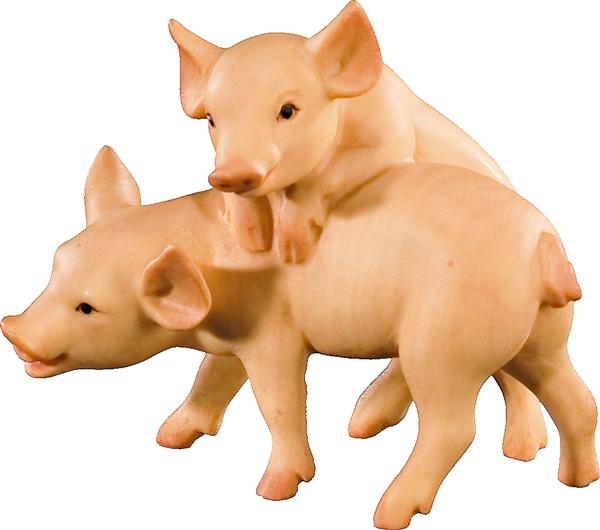 Ferkelgruppe