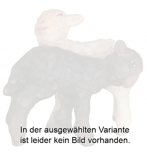 Lamm mit schwarzem Lamm
