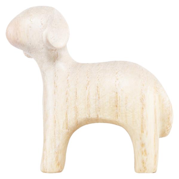 Lamm neugierig stehend Lamm neugierig stehend