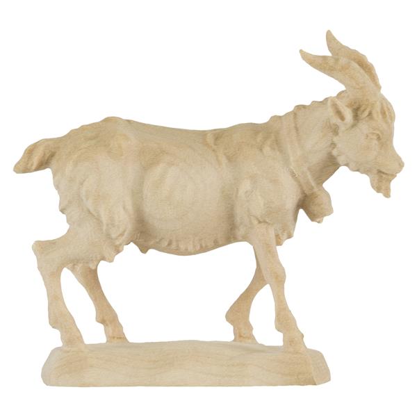 Ziegenbock Ziegenbock