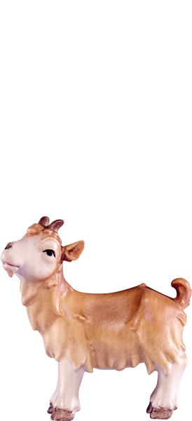 Kitz Artis Kitz Artis