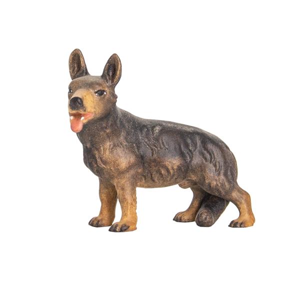 Schäferhund Schäferhund
