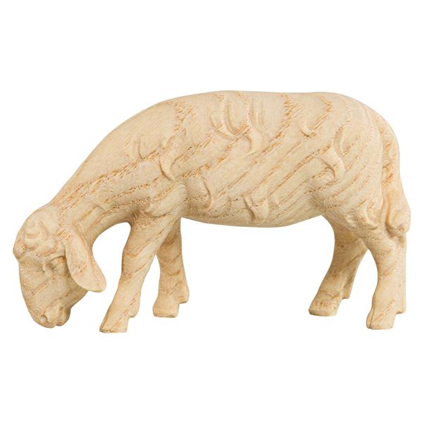 HK Schaf grasend (Esche) HK Schaf grasend (Esche)