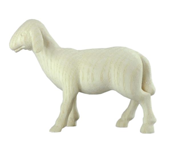 Schaf stehend 'M' Schaf stehend 'M'