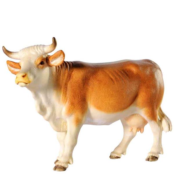 Kuh - Kopf oben hellbraun Kuh - Kopf oben hellbraun