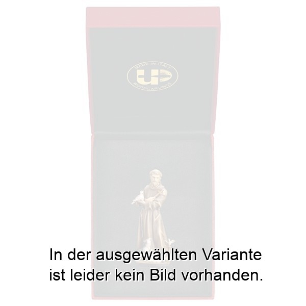 Hl. Franziskus von Assisi mit Tiere + Etui Hl. Franziskus von Assisi mit Tiere + Etui