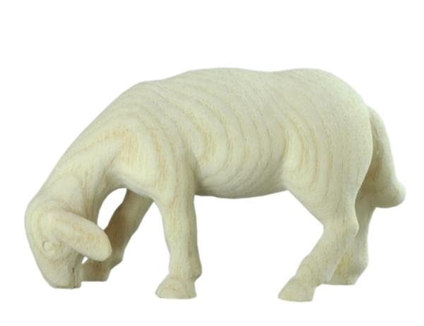 Schaf grasend 'M' Schaf grasend 'M'