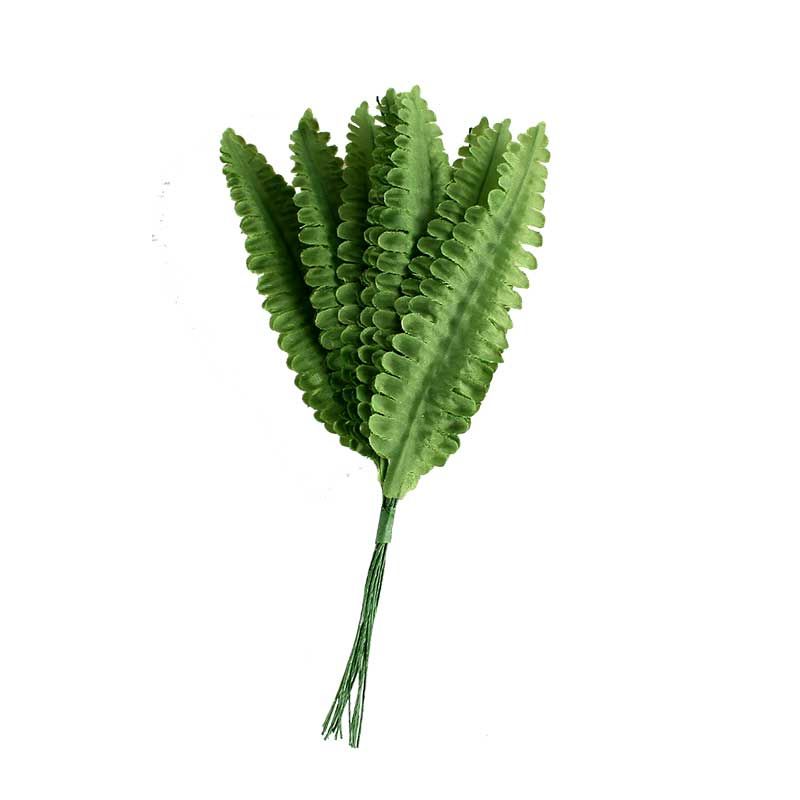 Palmblätter Palmblätter