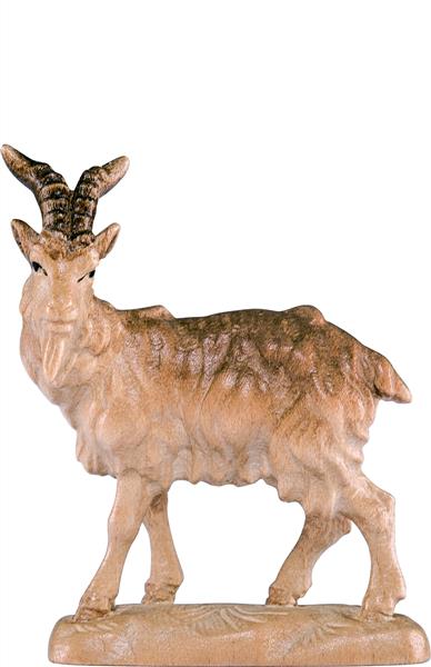 Ziegenbock