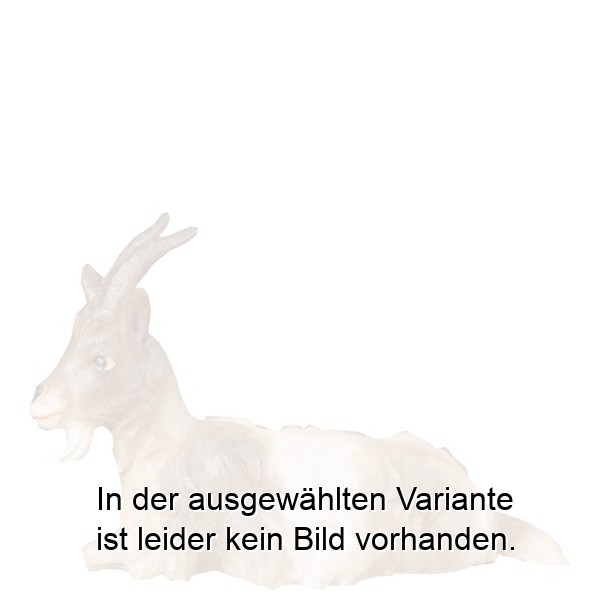 Ziege liegend Ziege liegend