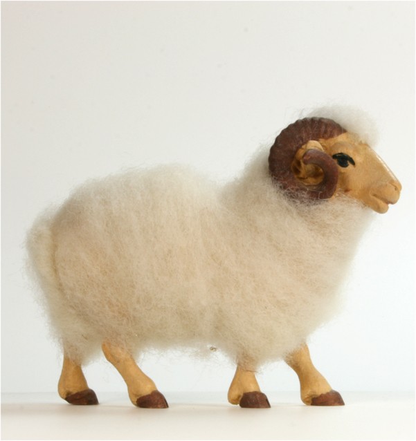 Widder stehend Widder stehend