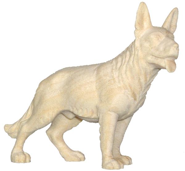 Hund Schäferhund
