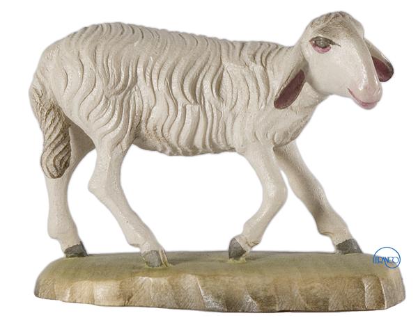 Schaf klein Schaf klein