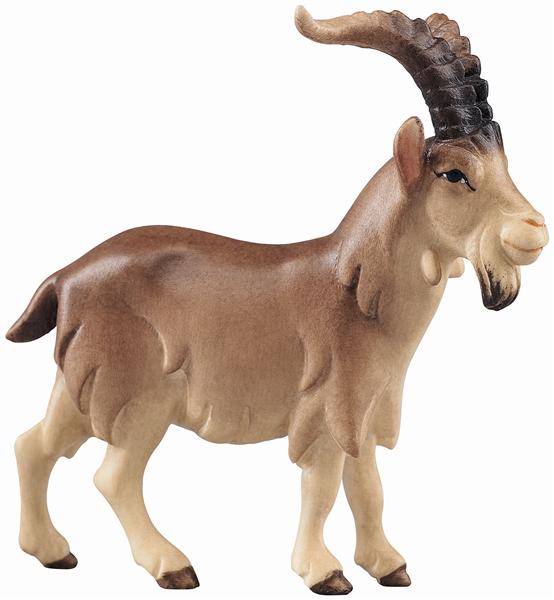 LI Ziegenbock