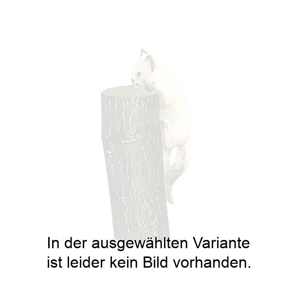 Katze kletternd Katze kletternd