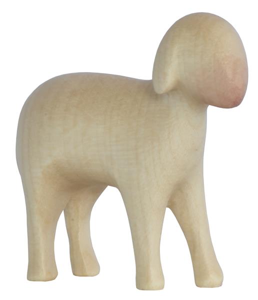 Schaf stehend