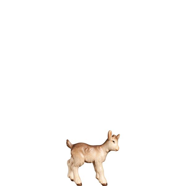 Kitz Kitz
