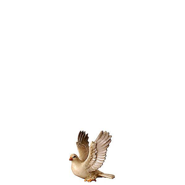 Taube fliegend