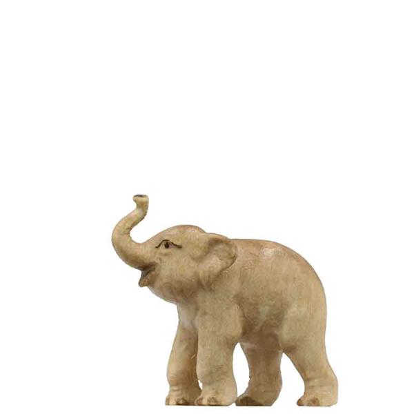 Junger Elefant Junger Elefant