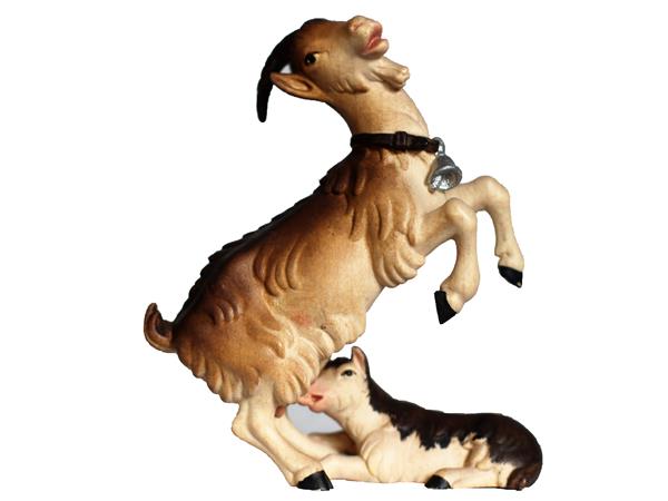 Ziege mit Kitz