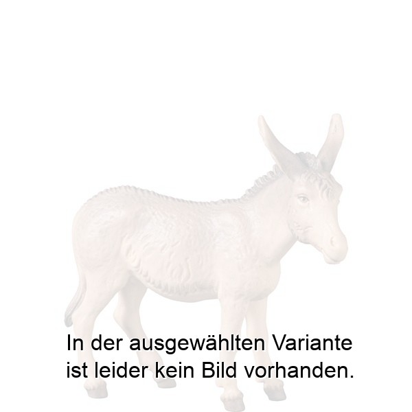 Esel 'B'