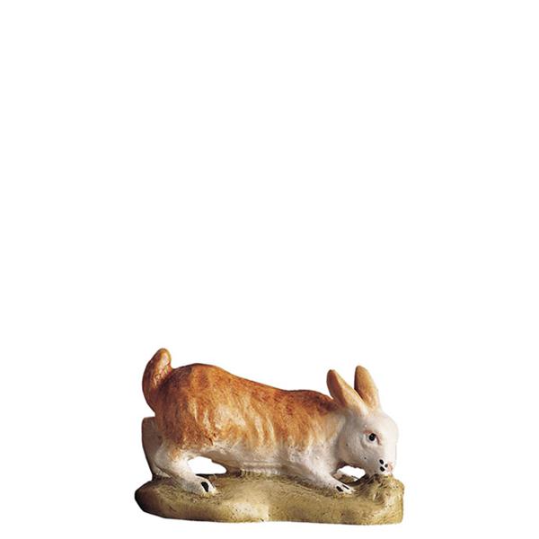 Hase fressend